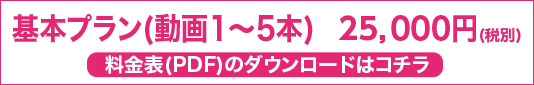 基本プラン
