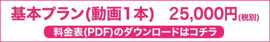 基本プラン